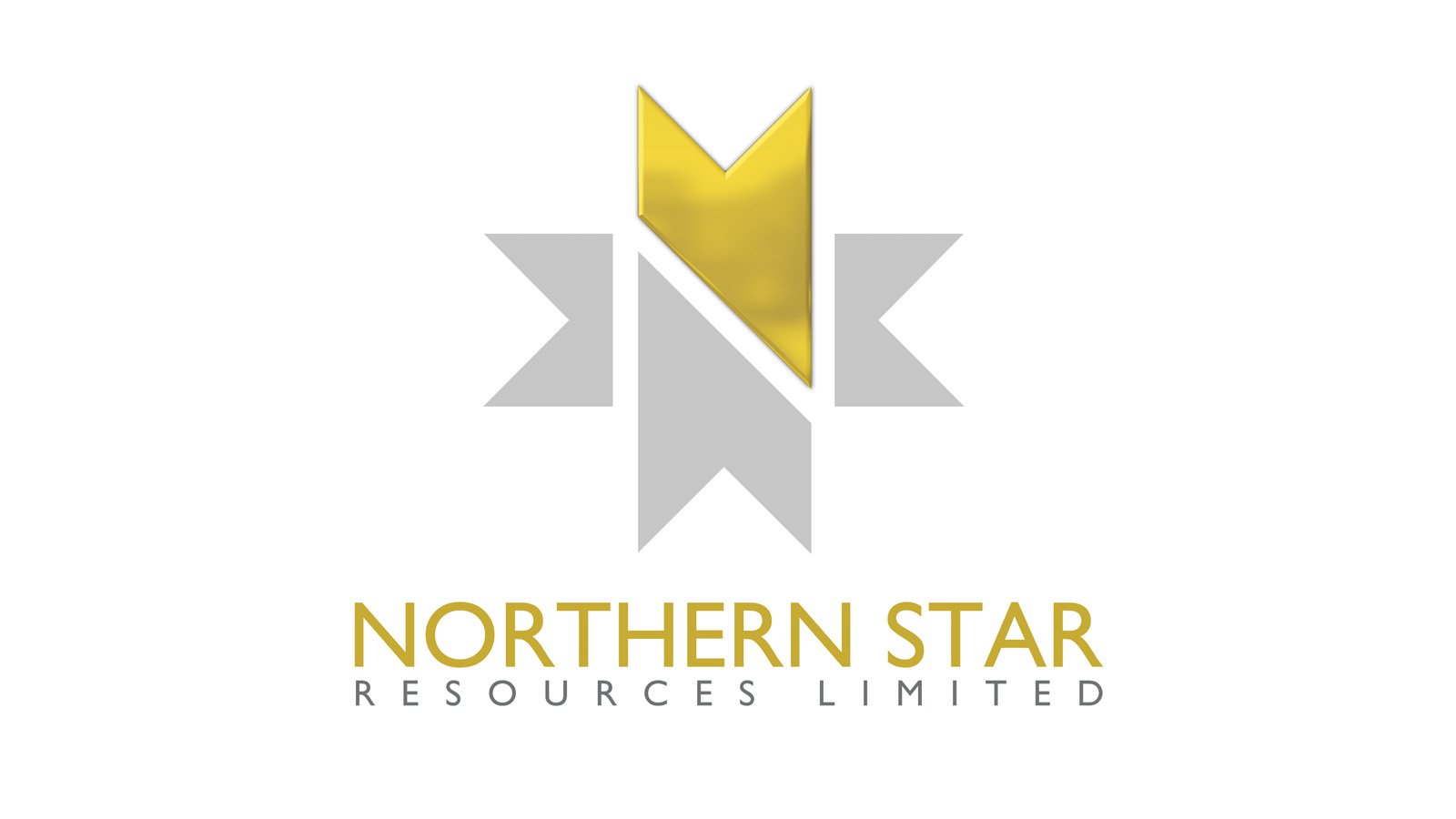 Premium logo Northern Star